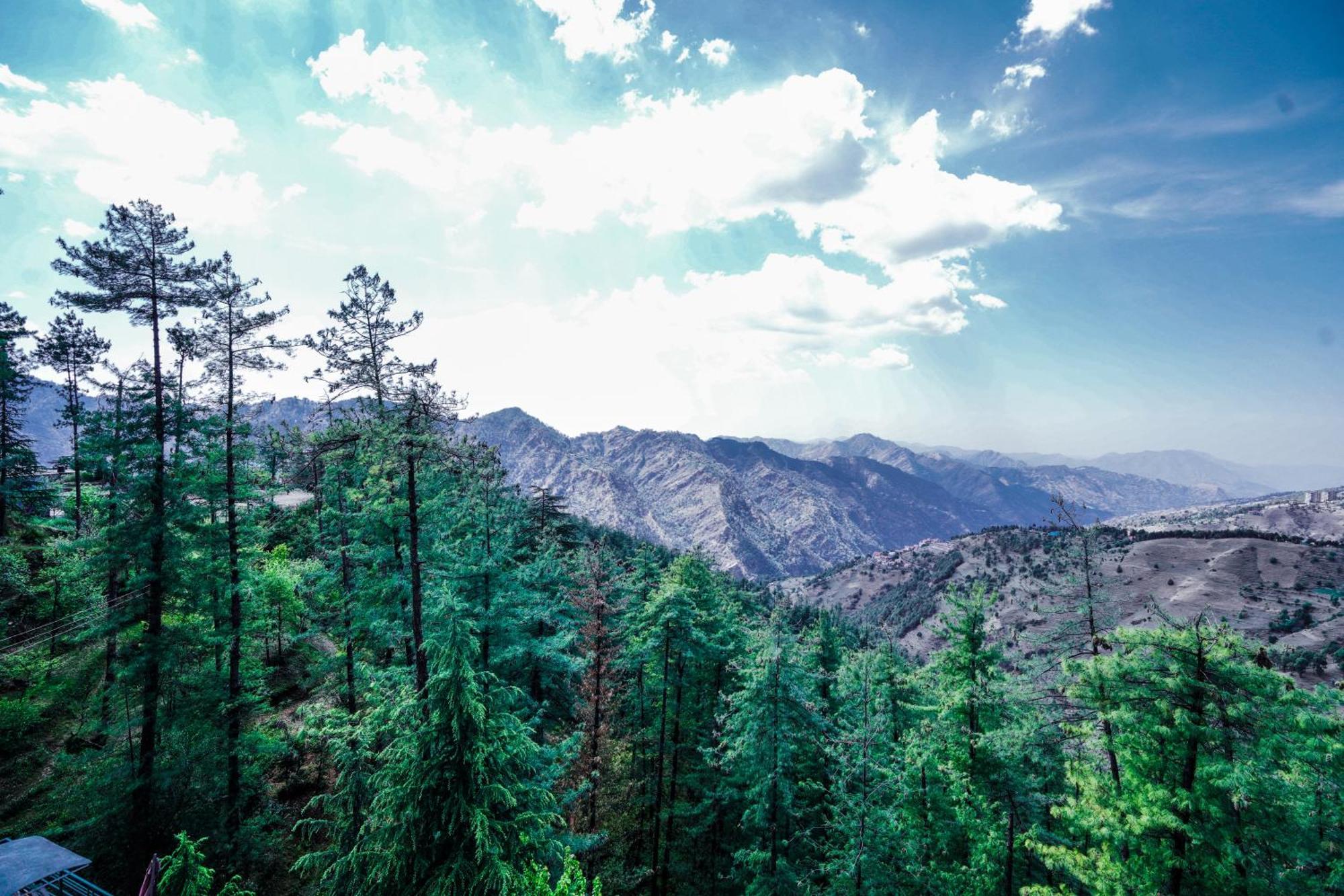 Aachman Nature Valley Resort Mashobra By Naina Staycation- Private Parking - Balcony And Valley View Rooms Shimla Bagian luar foto